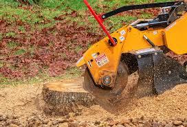 Best Lawn Pest Prevention  in Five Corners, WA